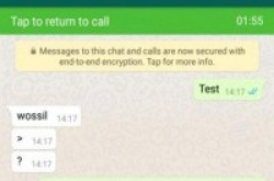 WhatsApp更新为视像通话加入画中画模式