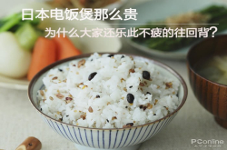 日本电饭煲那么贵 为什么大家还乐此不疲的往回背？
