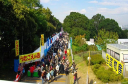 日本人为什么这么爱干净