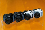 PentaxK-S2全天候入门