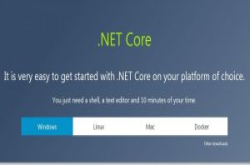 微软抓漏奖励扩大至.NET Core与ASP.NET Core