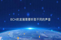 BCH的发展需要听取不同的声音