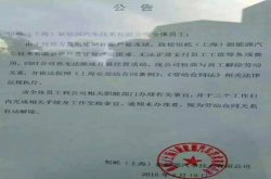 生于千亿融资 死于量产 新能源汽车的屠宰场幸存者谁？