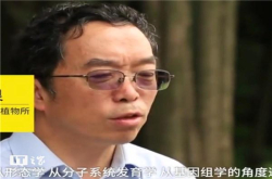 科学家证实金针菇是新物种