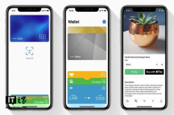 苹果ApplePay即将登陆沙特阿拉伯