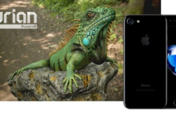 PowerVR纷争难解Imagination与Apple进入展开民事纷争调解