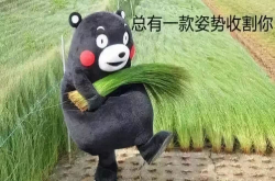 矿机价格又双叕暴跌 个人挖不到收益 区块已经垄断