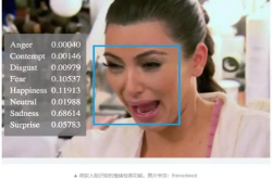 人脸识别出现BUG？长得太黑或将无法识别……