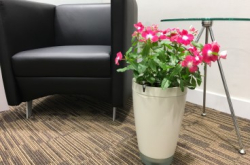 ParrotPOT智能装置帮手种花