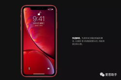 为什么设置了面容ID 仍然需要输入密码解锁iPhone？