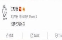 王思聪表示要收购网易？打造逆水寒全区第一武器