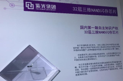 紫光赵伟国：十年砸1000亿美元打造重科技先备足5年弹药
