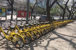 消息称ofo将完成数亿美元融资蚂蚁金服和滴滴联合投资