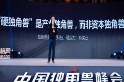 江南春：独角兽转变为硬独角兽 需要经历什么？
