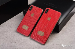 高端奢华手感出众 蜥蜴皮iPhoneXS惊艳上市 但有个缺点