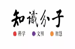 知识分子公告