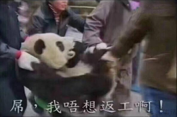 国庆期间狂点外卖的 原来不止百步青年