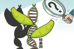 转基因食品到底有益还是有害？各方褒贬不一 科学家提议标注食品