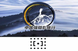 令人怀疑的手机微距摄影是如何拍摄出来的
