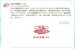 和罗永浩的疯狂有些不一样 提前试玩坚果R1没有表现很惊喜