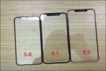 今年的3款新iPhone玻璃面板首次曝光 LCD版边框略宽