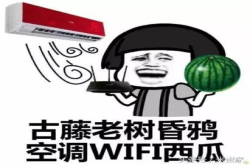夏季对于中央空调、风管机机、挂壁式空调你该如何选择？