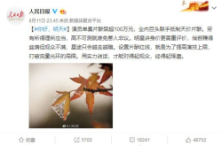设置演员片酬红线就是为了提高演技上限