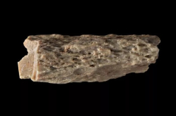 9万年前混血女孩被揭秘