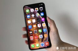 在拼多多买的未拆封iPhoneXSMax 结果出乎预料