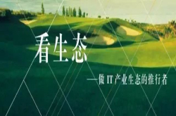 可视化百人谈丨马匡六：如何跳进数据看数据？
