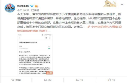 雷军刚刚宣布决定：小米内部架大调整 互联网业务成亮点