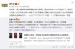 锤粉泪目！为了盈利今年锤子T3可能没有了