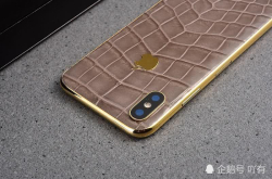 鳄鱼皮iPhoneX见过没？苹果终于出新款式