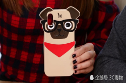 美国女生都喜欢什么样的iPhoneX手机壳？千奇百怪夸张无比