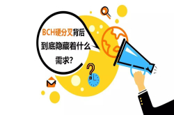 BCH硬分叉的背后到底隐藏着什么需求？