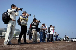96,000人大场面：ComesAlive“旺气盛放”马场摄影活动投票展开