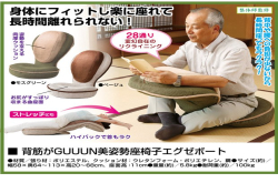 正坐反坐都可调整的人体功学和室椅