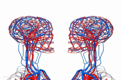 科学家：每晚睡眠超8小时极有可能早逝 睡太多有严重健康隐患？