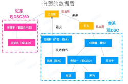 裂了的数据盾：给张蕴更一个说话的机会