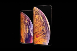 库克又赌对了 新iPhone已被国人抢疯：苹果再延迟发货时间