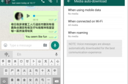 【长爆Data有得救？】WhatsApp或增LowDataUsage功能