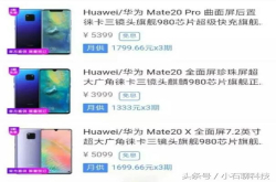 华为Mate20系列预售价春光乍现？网友：这价位 必须上手