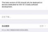 苹果iOS 12.1.3开发者预览版/Beta 4更新方法介绍