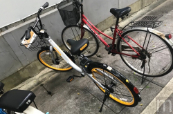 不只台湾oBike福寿螺也出现在英国伦敦