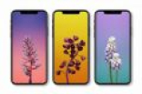 苹果iPhone 8好不好用？苹果iPhone 8/8 Plus网友评价如何
