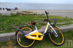 观点／新加坡共享单车服务oBike成“福寿螺”，问题在哪里？