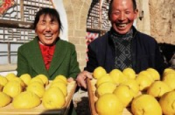 《舌尖上的中国3》凉了美食手机游戏火了