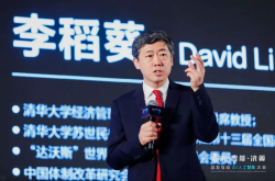 李稻葵：万亿市场上 人工智能的泡沫与机遇