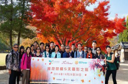 红叶、金杏、蓝天、白羊︰拥抱韩枫5天摄影之旅精彩游记重温