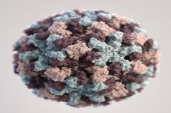 一匙海水含5000万病毒粒子 病毒是天体生物学的新前沿吗？